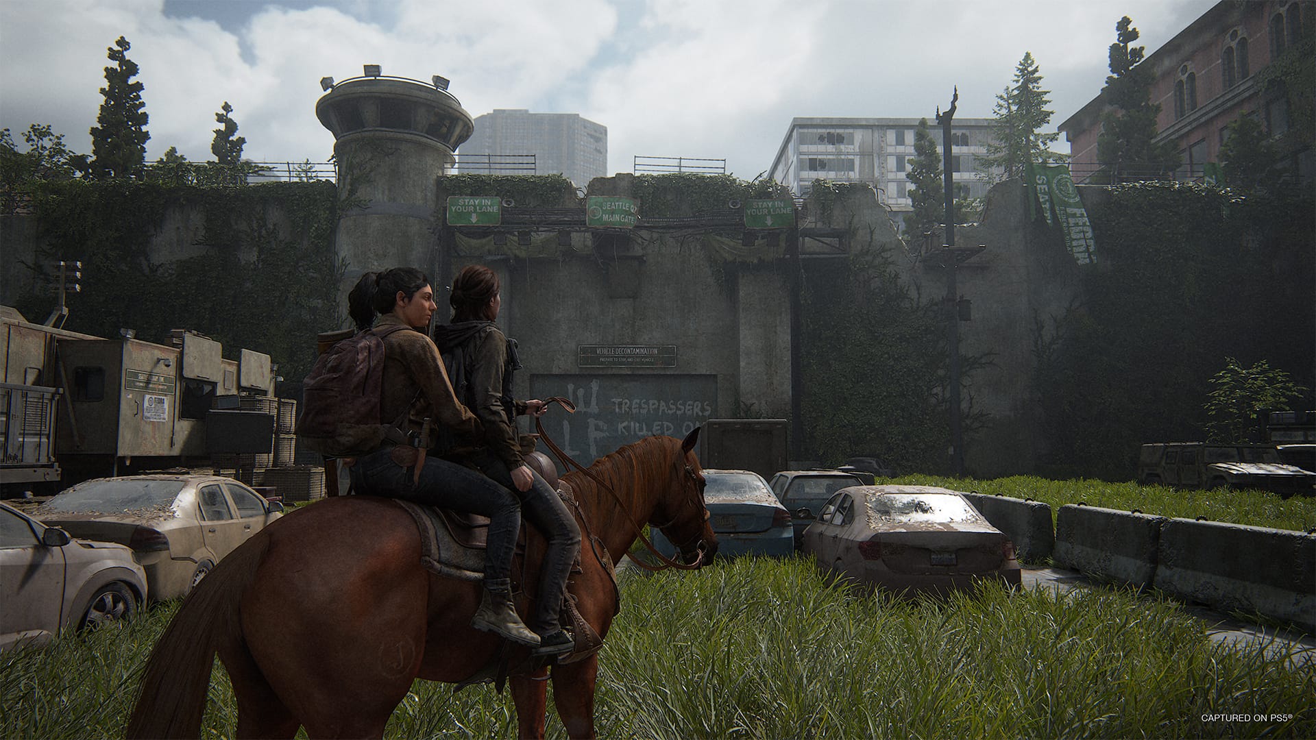 Ellie riding through an apocalyptic landscape with high grass and scattered, broken down cars.